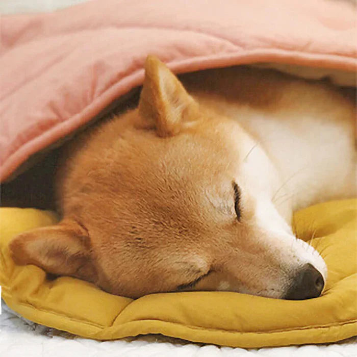 Couverture pour animaux de compagnie Lighteme inspirée de la nature – Élégante et confortable