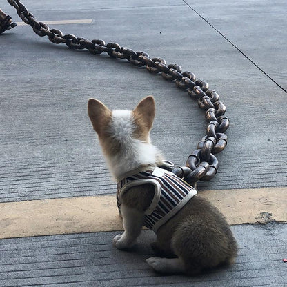 Collier amusant pour grand chien Lighteme
