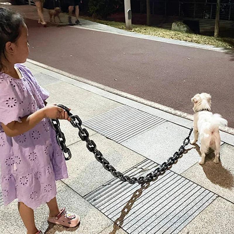 Collier amusant pour grand chien Lighteme