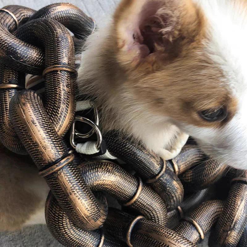 Collier amusant pour grand chien Lighteme