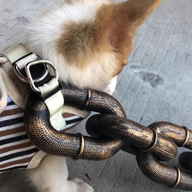 Collier amusant pour grand chien Lighteme