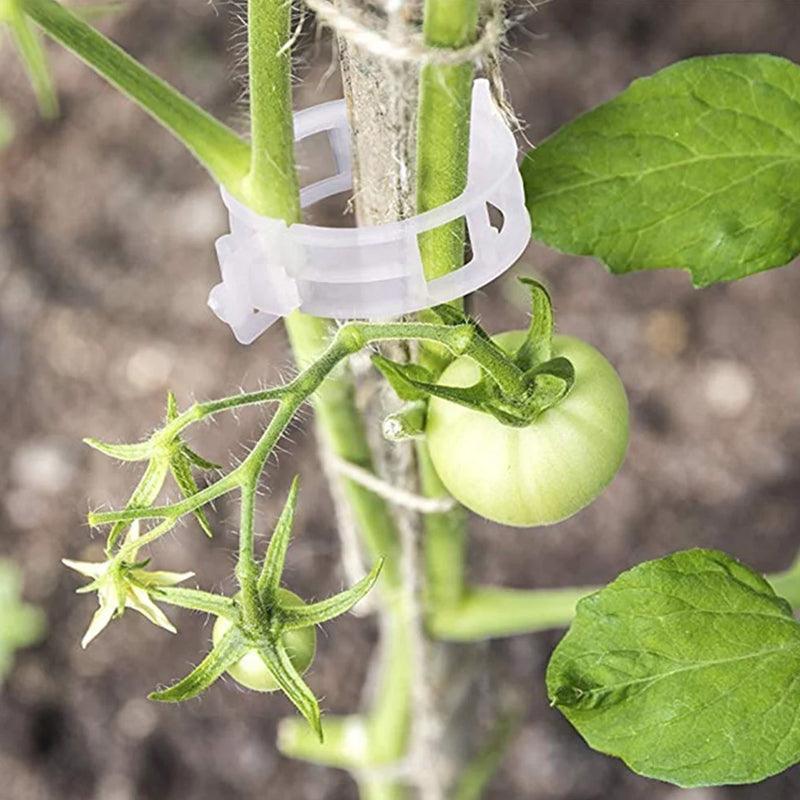 Clips de support pour plantes Lighteme | Lot de 100 pièces