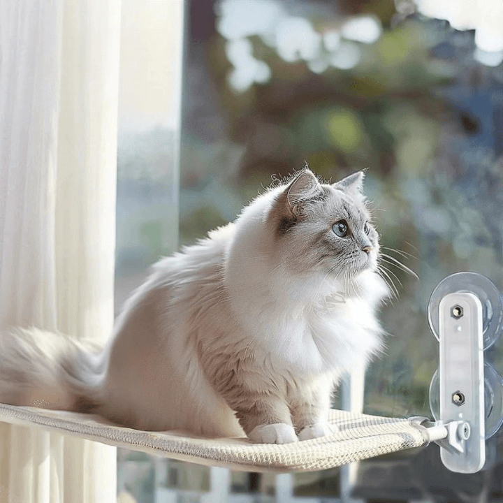 Hamac pliable Lighteme pour chats