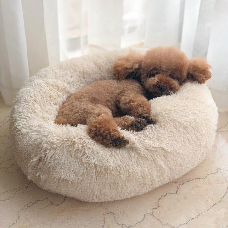 Lit pour chien Lighteme Serene Comfort pour un sommeil réparateur