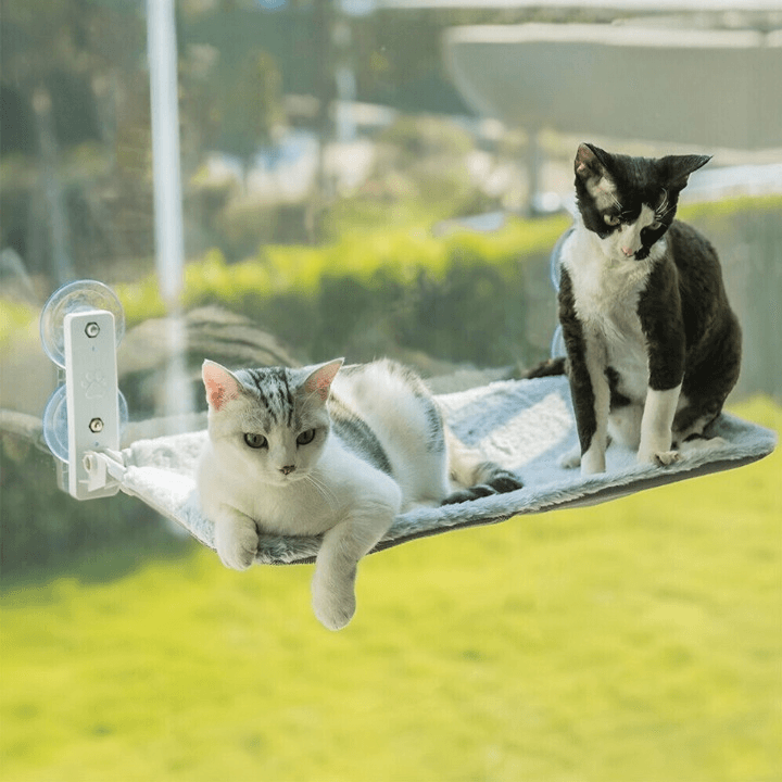Hamac pliable Lighteme pour chats