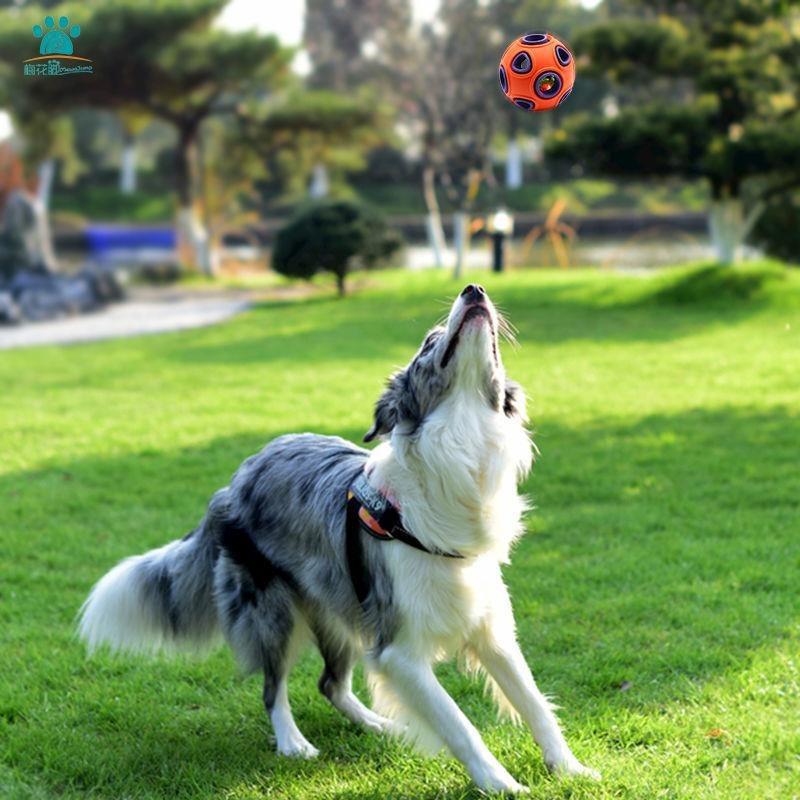 Lighteme Dog Playing Toy Bite Bouncing Ball (2 Colors & 2 Sizes & 3 Types)