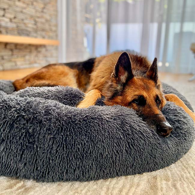 Lit pour chien Lighteme Serene Comfort pour un sommeil réparateur
