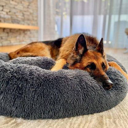 Lit pour chien Lighteme Serene Comfort pour un sommeil réparateur