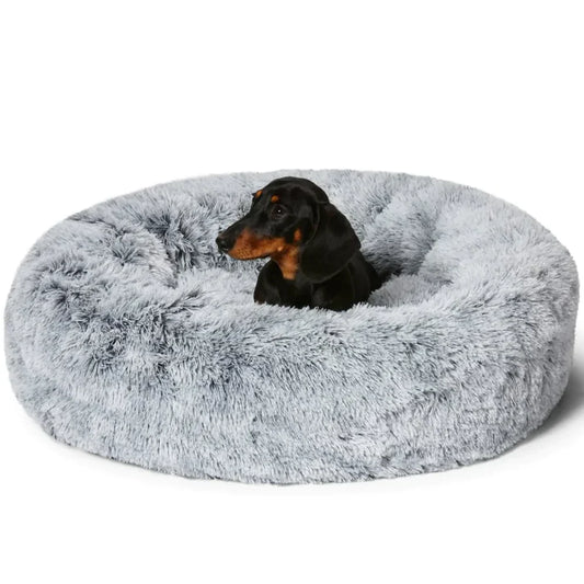 Lighteme Serene Comfort Dog Bed for Restful Sleep