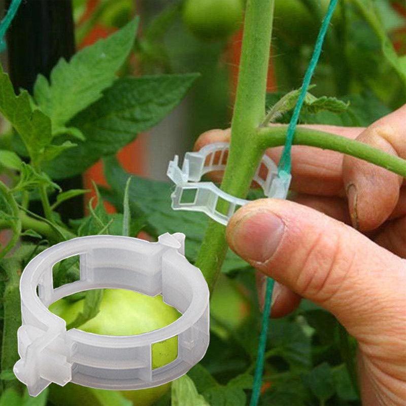 Clips de support pour plantes Lighteme | Lot de 100 pièces