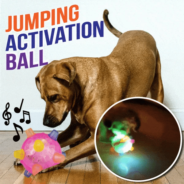 Balle d'activité sautante Lighteme pour chiens