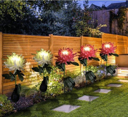 Lampe solaire de jardin Lighteme Chrysanthemum LED