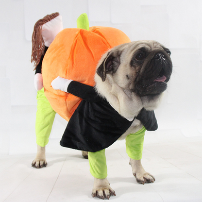 Lighteme Haustier-Halloweenkostüme (5 Größen)