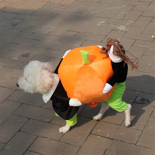 Lighteme Haustier-Halloweenkostüme (5 Größen)