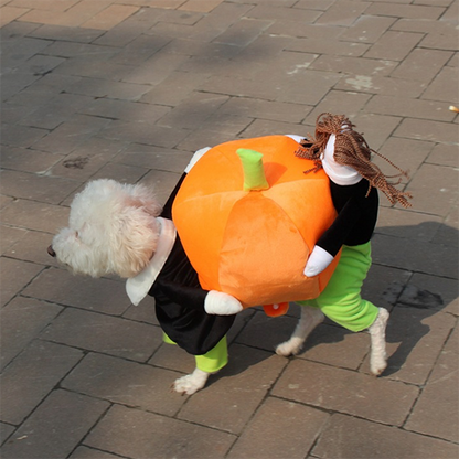 Lighteme Haustier-Halloweenkostüme (5 Größen)