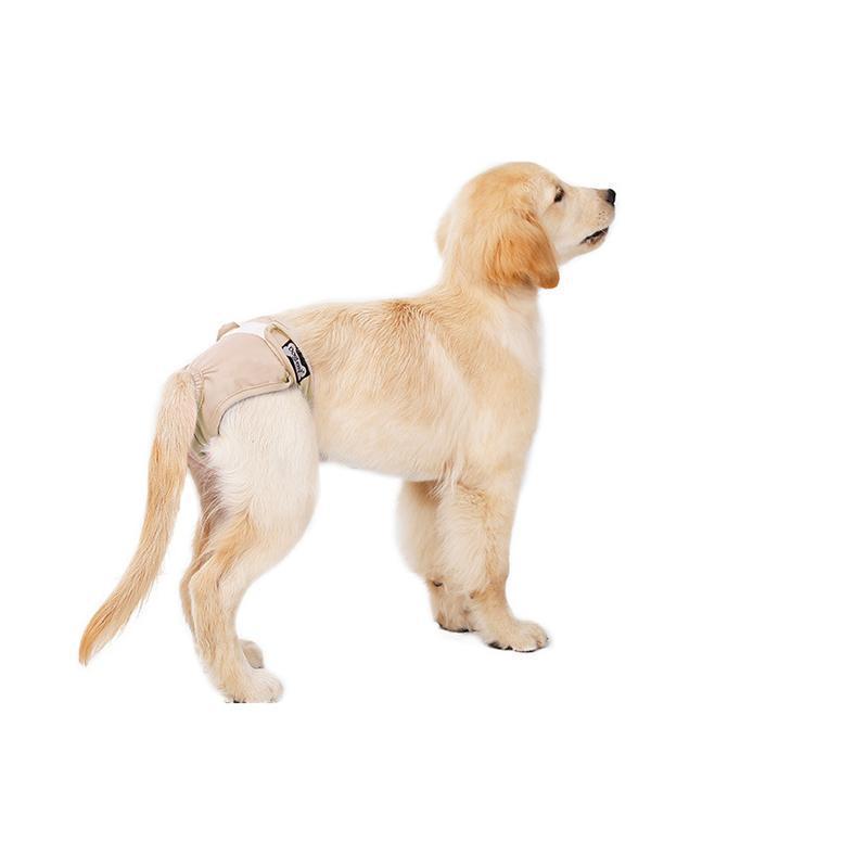 Lighteme 2PCS Machine Washable Dog Physiological Pants (3 Colors & 5 Size)