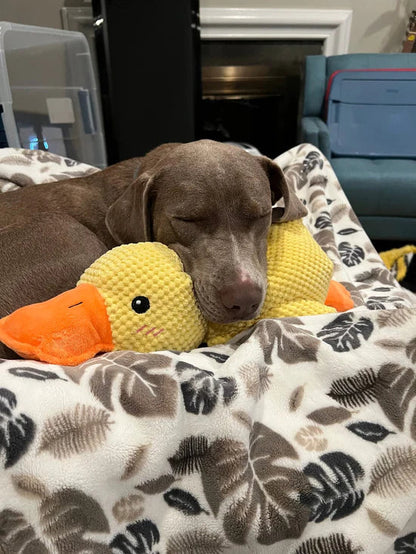 Lighteme Robustes Hundespielzeug in Entenform für energiegeladene Kauer