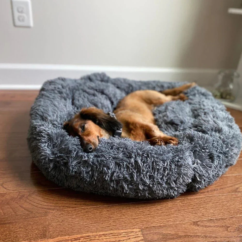 Lit pour chien Lighteme Serene Comfort pour un sommeil réparateur