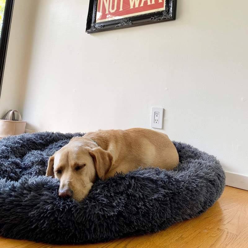 Lit pour chien Lighteme Serene Comfort pour un sommeil réparateur