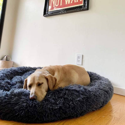 Lit pour chien Lighteme Serene Comfort pour un sommeil réparateur