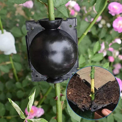 Lot de 6 boules de racines pour plantes Lighteme