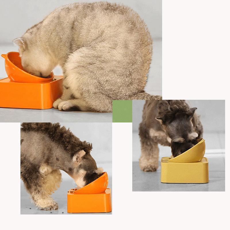 Gamelle pour animaux de compagnie Lighteme réglable à 30 degrés (4 couleurs)