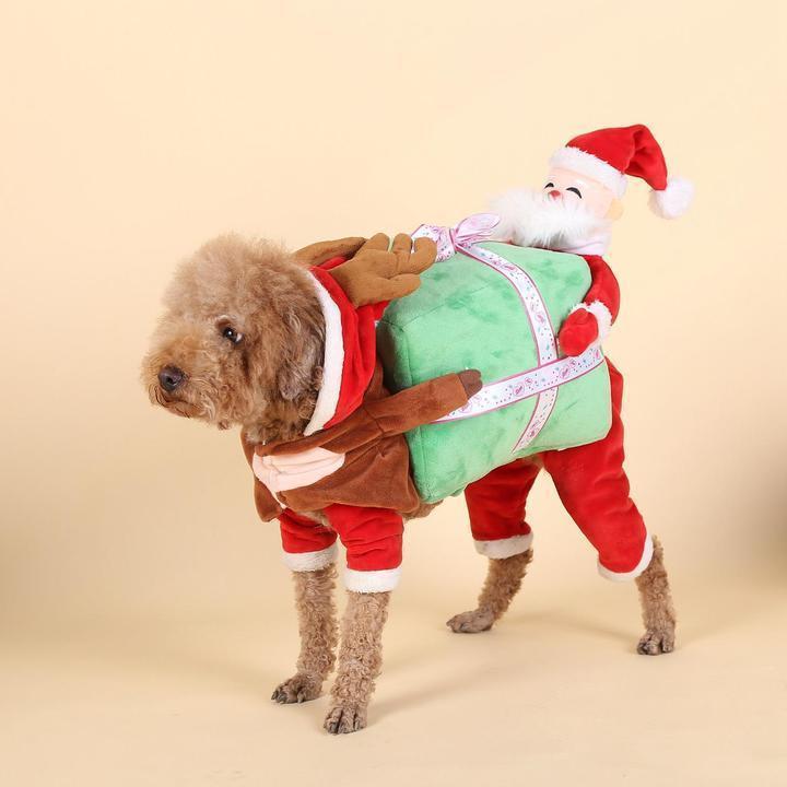 Déguisement de citrouille pour chien Lighteme (2 modèles et 4 tailles)