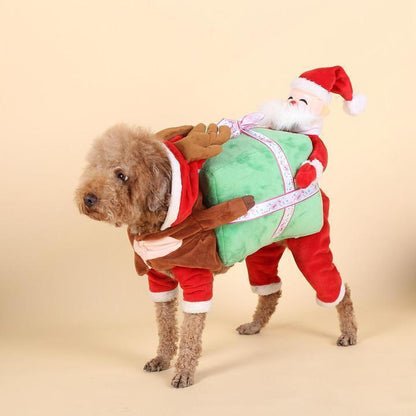 Déguisement de citrouille pour chien Lighteme (2 modèles et 4 tailles)