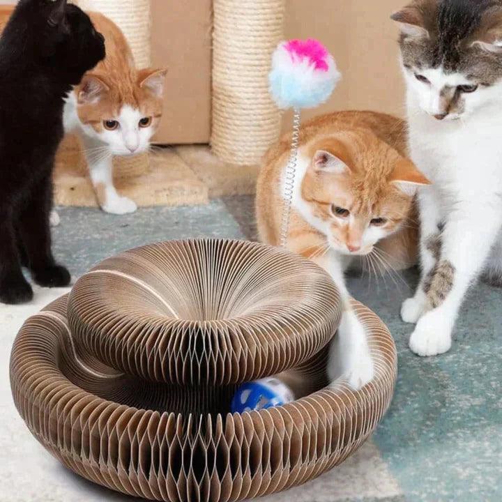 Lighteme Kratzspielzeug für Katzen