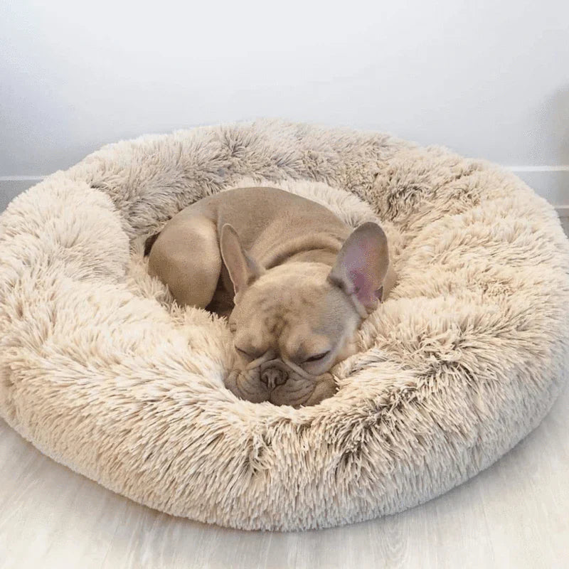 Lit pour chien Lighteme Serene Comfort pour un sommeil réparateur