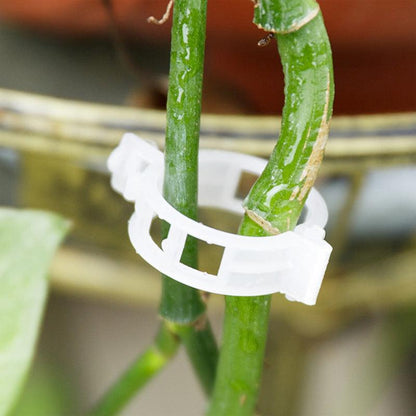 Clips de support pour plantes Lighteme | Lot de 100 pièces