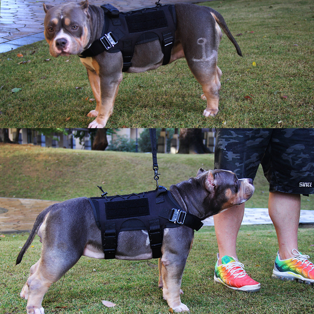 Harnais tactique en nylon pour chien Lighteme - Harnais de dressage pour chien très résistant - Sans traction - Liquidation