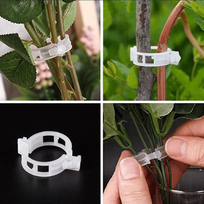 Clips de support pour plantes Lighteme | Lot de 100 pièces
