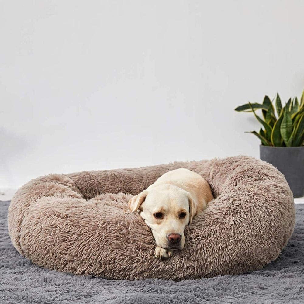 Lit pour chien Lighteme Serene Comfort pour un sommeil réparateur