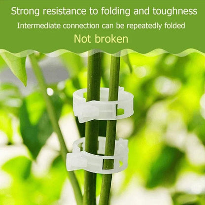 Clips de support pour plantes Lighteme | Lot de 100 pièces