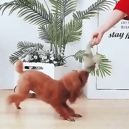 Lighteme Kauspielzeug für Welpen aus Plüsch mit Cartoon-Motiv und Quietscher für kleine Hunde