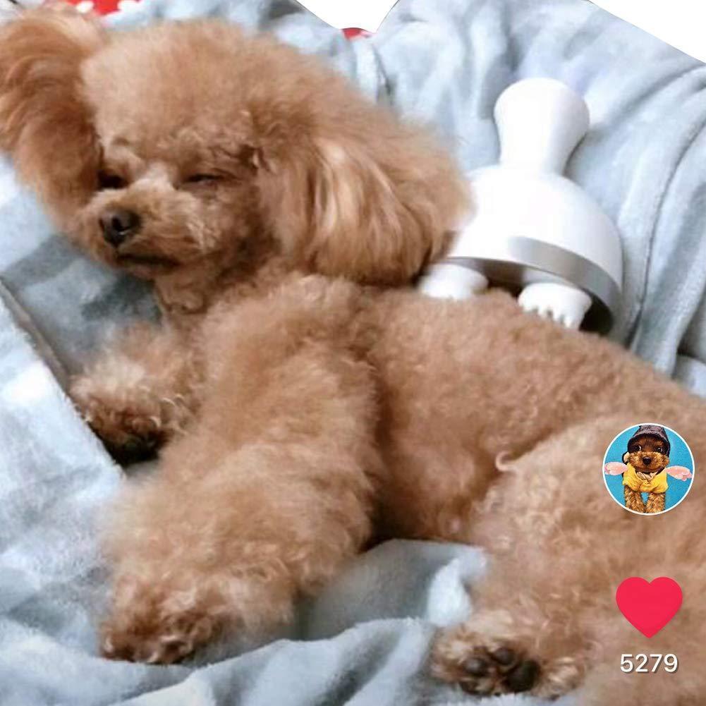 Lighteme Pet Massager