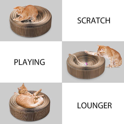 Fauteuil Lighteme Cat