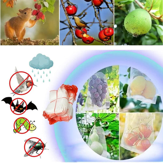 Insektensichere Netzbeutel von Lighteme zum Schutz von Obst und Gemüse | 20er-Set 