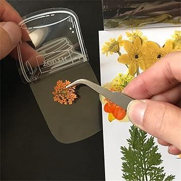 Lighteme DIY transparente Lesezeichen (Set mit 80 Stück)