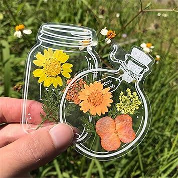 Lighteme DIY transparente Lesezeichen (Set mit 80 Stück)