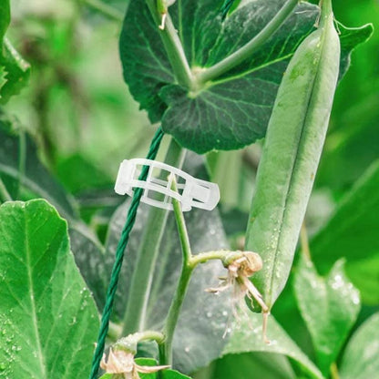 Clips de support pour plantes Lighteme | Lot de 100 pièces