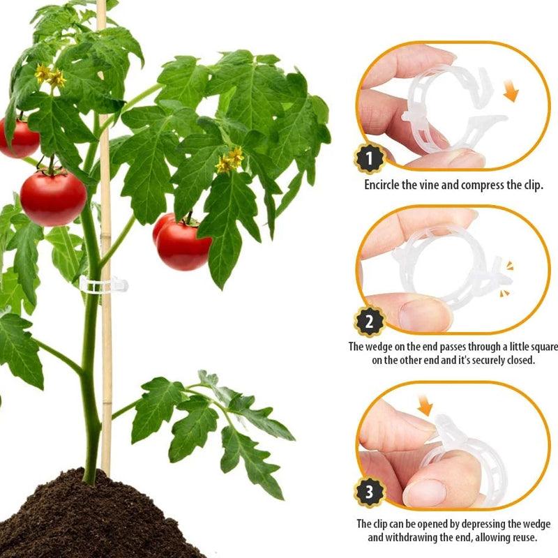 Clips de support pour plantes Lighteme | Lot de 100 pièces
