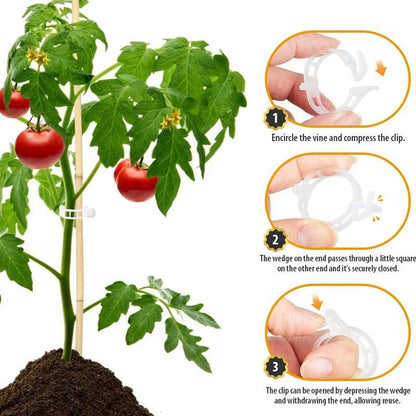 Clips de support pour plantes Lighteme | Lot de 100 pièces