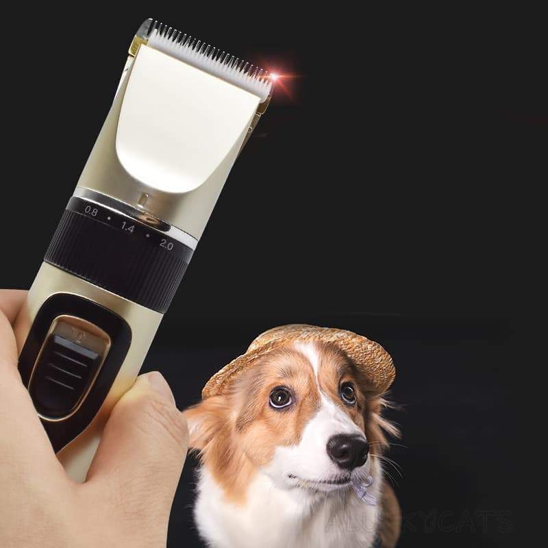 Tondeuse à poils d'animaux Lighteme avec écran LCD