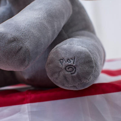 Lighteme Peek-a-Boo Animated Talking & Singing Elephant Plush Toy