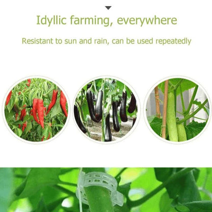 Clips de support pour plantes Lighteme | Lot de 100 pièces