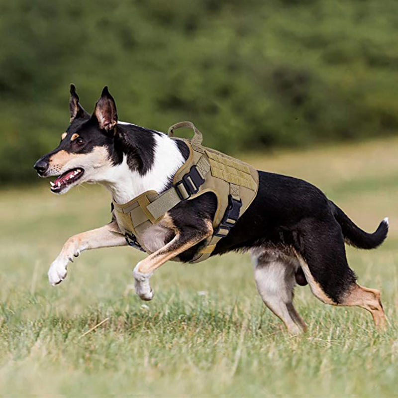 Harnais tactique réglable pour chien de berger allemand Lighteme avec poignée