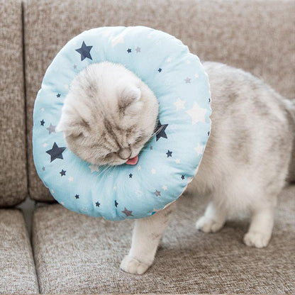 Lighteme Verstellbares Elizabeth Circle Katzen-Antibeißhalsband (4 Farben &amp; 4 Größen)