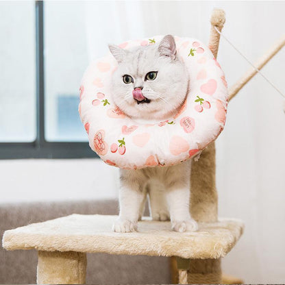 Lighteme Verstellbares Elizabeth Circle Katzen-Antibeißhalsband (4 Farben &amp; 4 Größen)